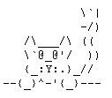 kitty